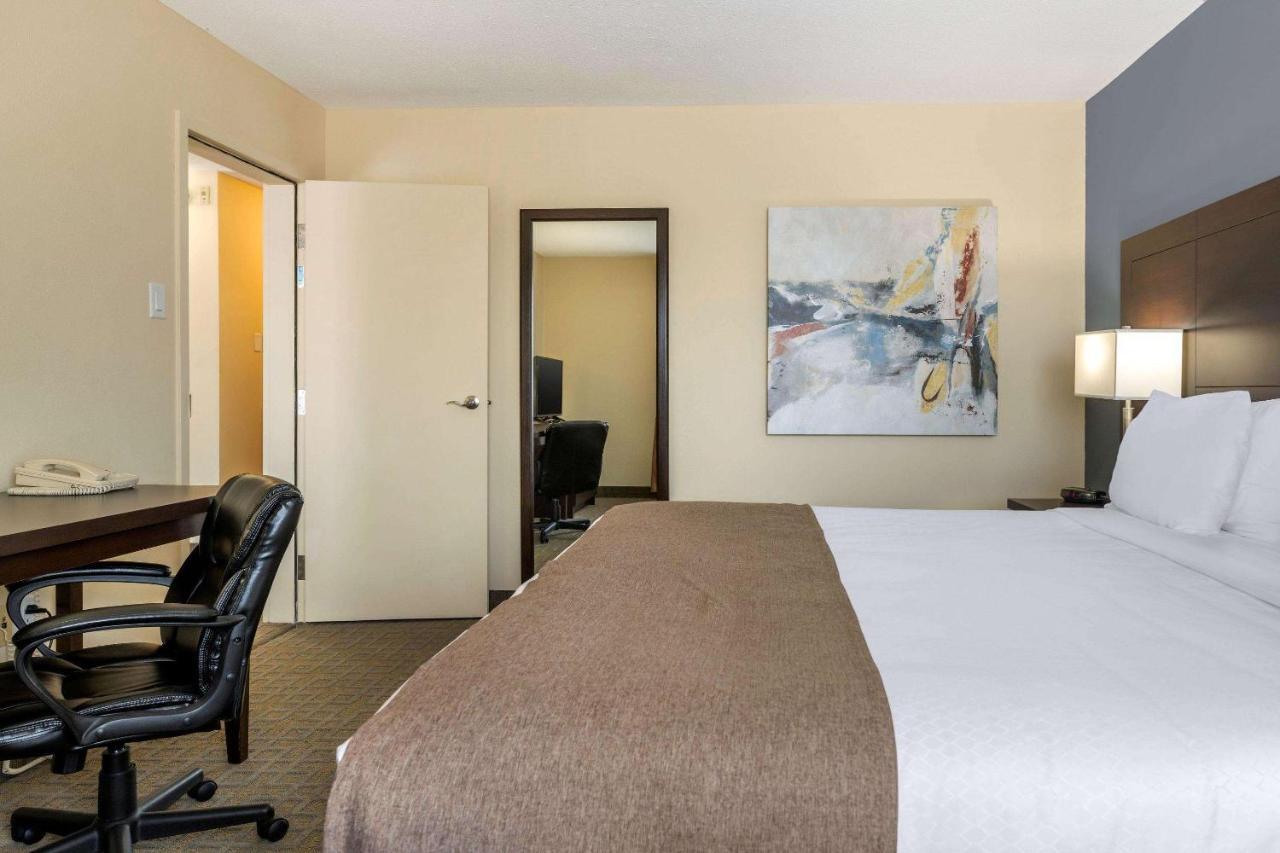 Quality Inn & Suites Bathurst Zewnętrze zdjęcie